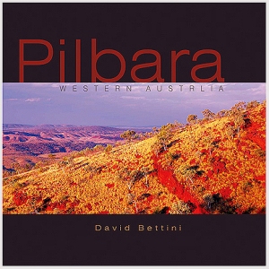 x Pilbara, Western Australia book cover